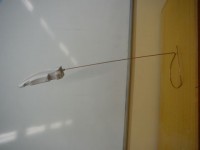 /album/galerie/a111-jpg/